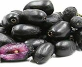 Amazing Health Benefits and Uses of Jamun Fruit (Black Plum)