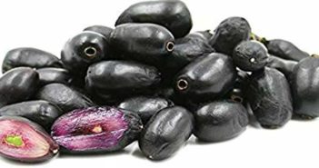 Black Plum